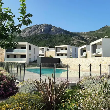 T2 Dans Neuve Avec Piscine Calvi (Corsica)