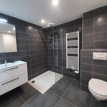 T2 Dans Neuve Avec Piscine