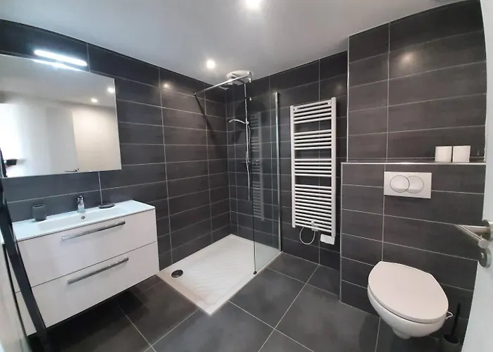 T2 Dans Neuve Avec Piscine