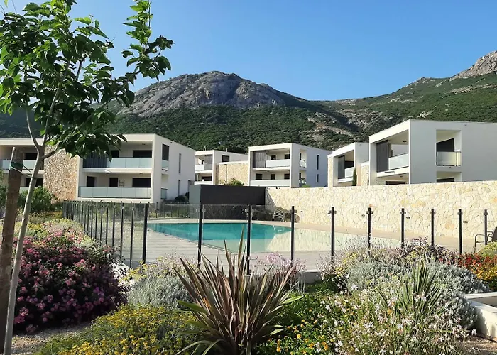 T2 Dans Neuve Avec Piscine Calvi (Corsica)